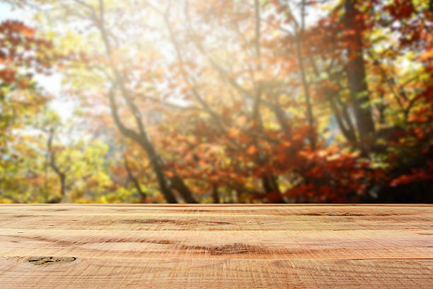 Wooden desk and beautiful autumn forest background.