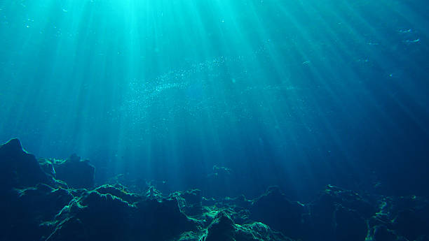 underwater scene background - 水中 圖片 個照片及圖片檔