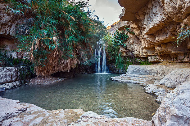 Beautiful small scenic pond with clear water