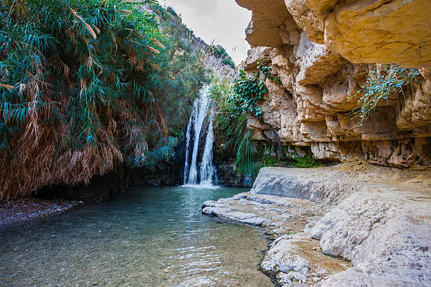 istock The picturesque waterfall and small lake 513370686