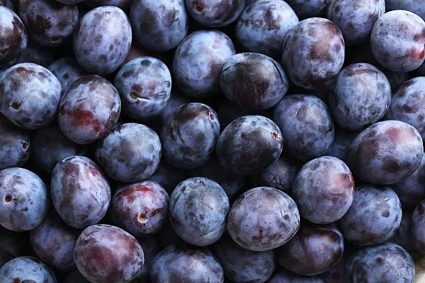 Photo of Fresh plums background