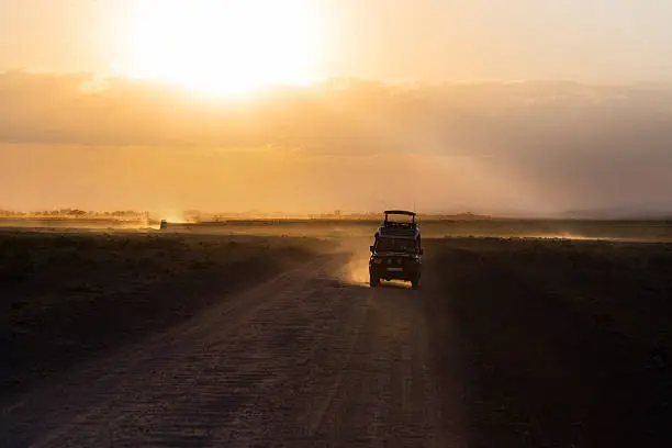 Sunset in african savannah, silhouettes of safari car and animals, Africa, Kenya, Amboseli national park