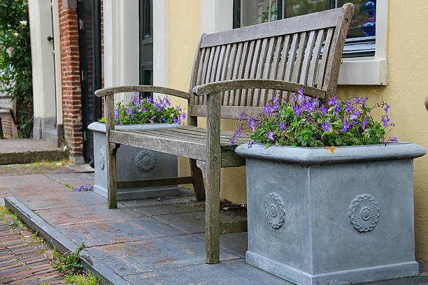 istock Traditional Dutch wooden bench surrounded by decorative plants 513372632