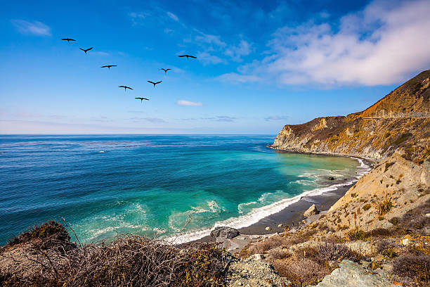 In the sky flies a flock of cranes. The scenic road passes over the ocean bay with emerald water.  California State Route 1, USA