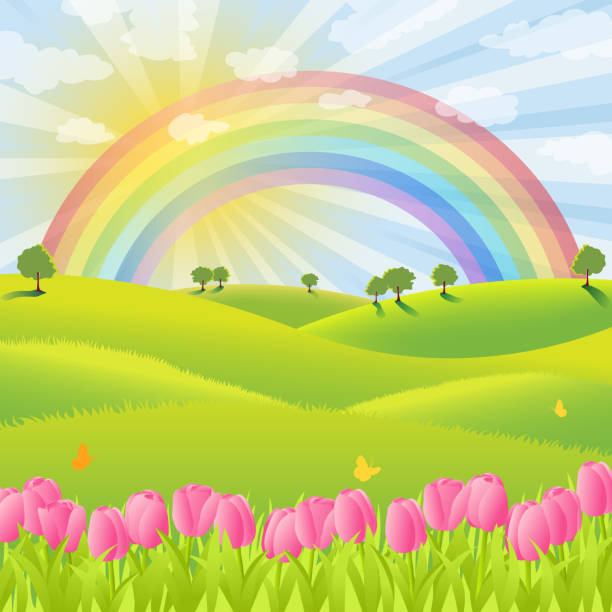 illustrazioni stock, clip art, cartoni animati e icone di tendenza di arcobaleno sopra la primavera natura - rainbow flower meadow nature