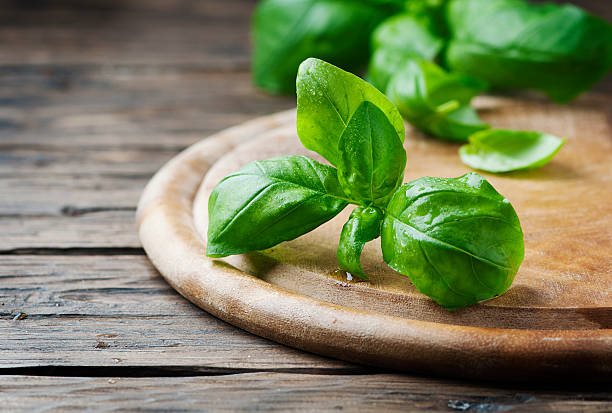 istock Fresh green basil on the wooden table 513374852