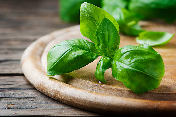 istock Fresh green basil on the wooden table 513374902