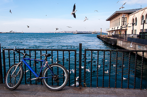 Bicicleta y pájaros photo