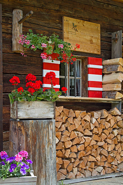 istock hut detail in Tyrol 513376982
