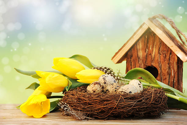 istock Easter eggs with tulips flowers and birdhouse 513378470