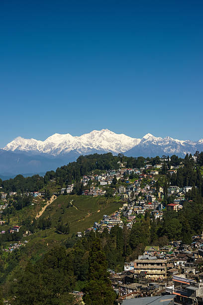 Thé Darjeeling Plantation, avec les montagnes en arrière-plan verticale de l'Himalaya, - Photo