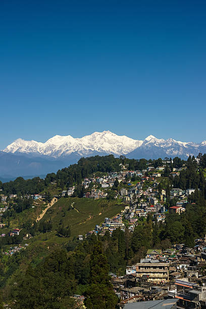 Darjeeling ティー・プランテーション、ヒマラヤ山脈の背景—垂直 ストックフォト