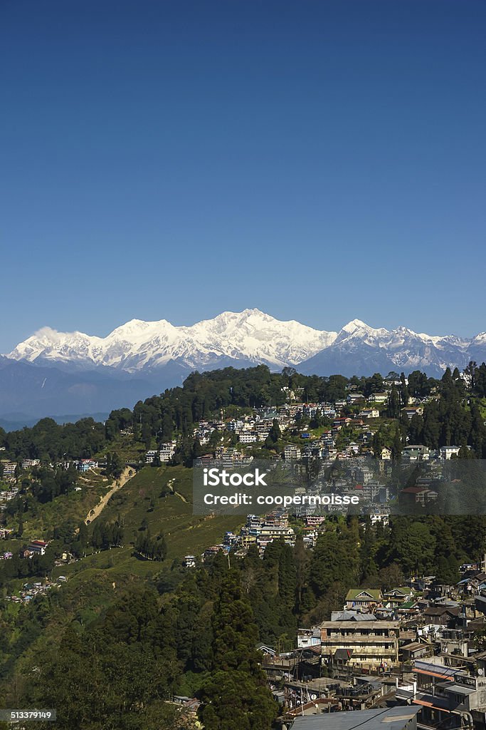 Darjeeling Tea Plantation with Himalaya Mountains Background —Vertical The town of Darjeeling and a tea plantation run down a terraced hillside in the Indian state of West Bengal in the Lesser Himalayas at an average elevation of 6,710 ft (2,045.2 m).  Hill Stock Photo