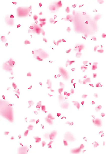 Vector illustration of Pink sakura petals background.