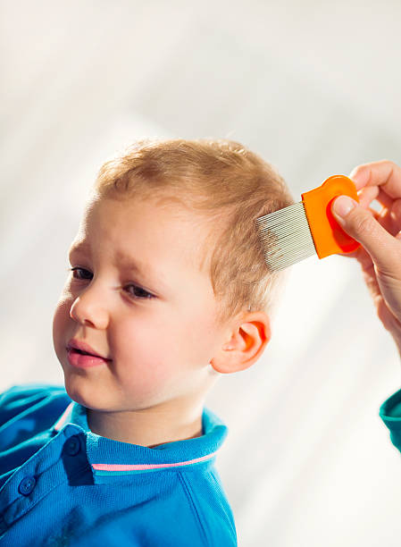 istock Mother using a comb to look for head lice. 513379974