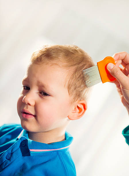 Mother using a comb to look for head lice. Mother treating son's hair against lice at home Combing stock pictures, royalty-free photos & images
