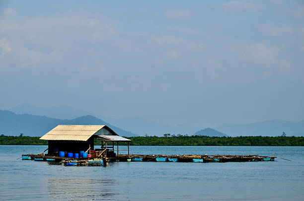 istock fish cages at Phra Thong Island 513382231