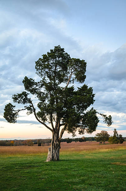 istock Manassas National Battlefield Park 513382816