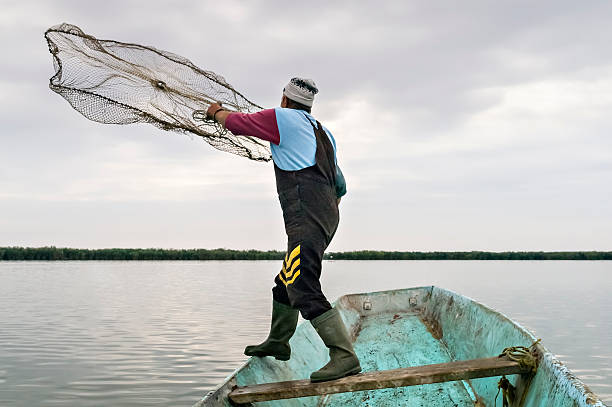 Fisherman Throwing out fishing net on the lake near Kanjiza, Serbia commercial fishing net photos stock pictures, royalty-free photos & images