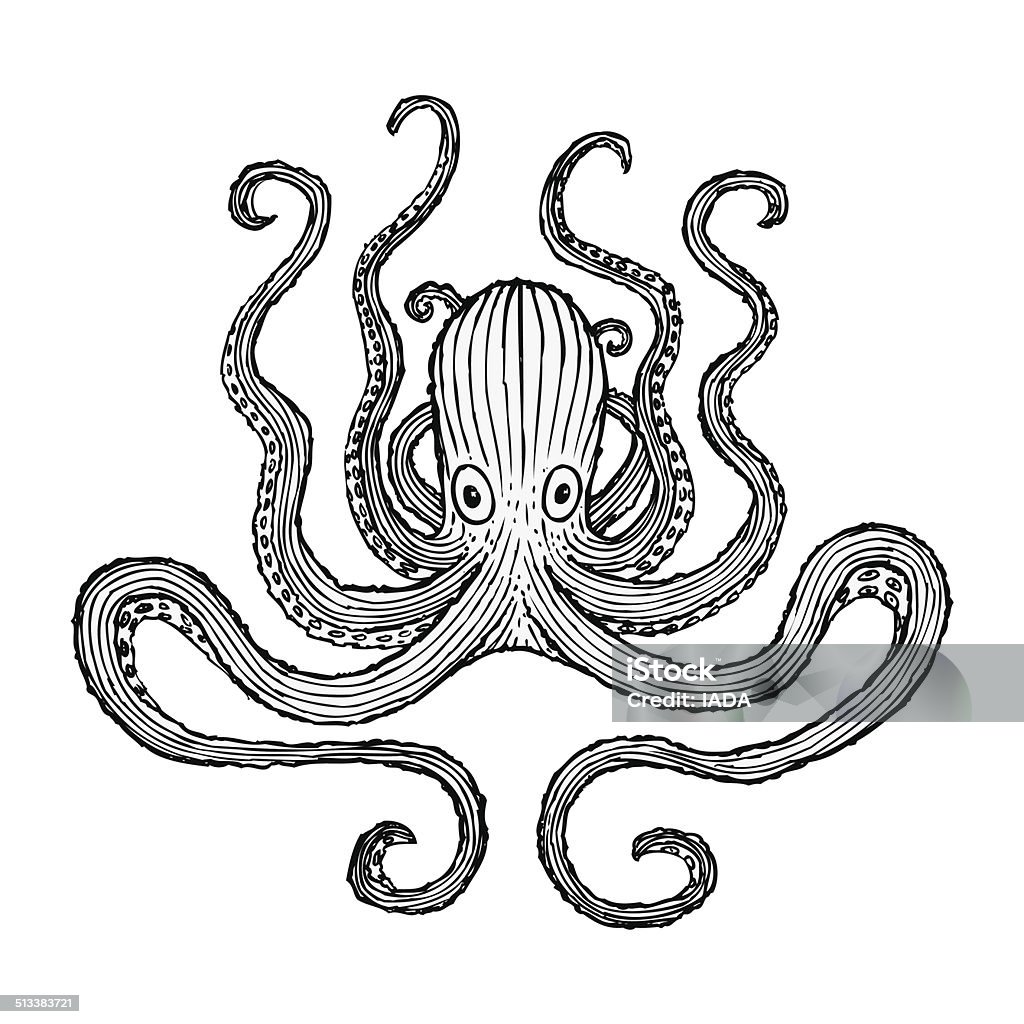 Octopus Rajz Octopus Illustration Stock Illustration - Download Image Now - Drawing ...