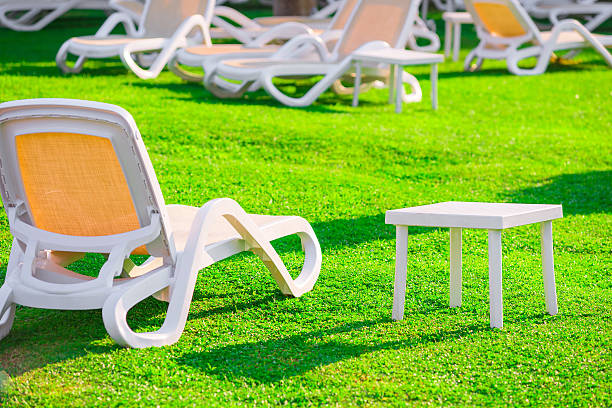 istock green lawn and empty sun loungers at dawn 513384091