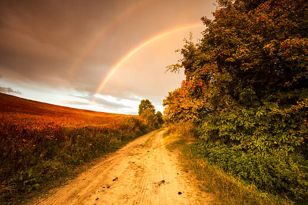 arcobaleno doppio - meteorology rain fog forest foto e immagini stock