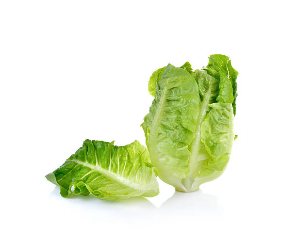 istock fresh baby cos (lettuce) on white background 513385280
