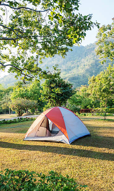 istock Tent on the green grass yard. 513385894