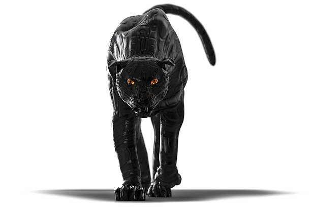 Evil looking cyborg black panther with red glowing eyes walking towards camera on white background. this version has reflection in the left eye