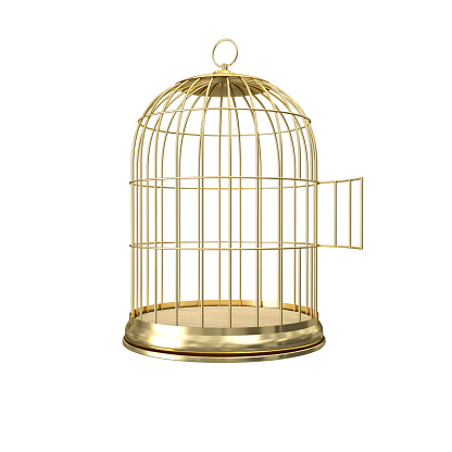 Birdcage sitting on blue background. Horizontal composition with copy space. Low angle view.