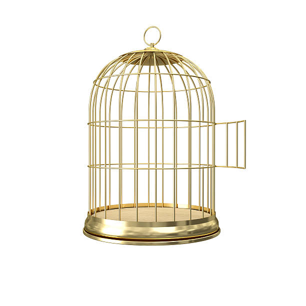 3d golden birdcage 3d golden birdcage on white background birdcage stock pictures, royalty-free photos & images