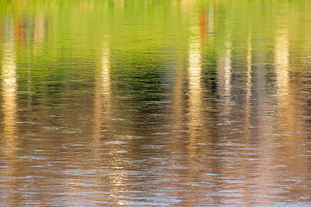 istock abstract autumn trees reflection in water 513391589