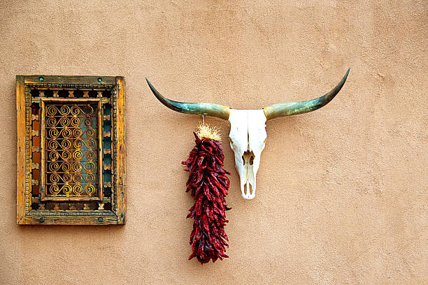 vecchia casa di mattoni con teschio di animale e hanging chili peppers - southwest usa house residential structure adobe foto e immagini stock