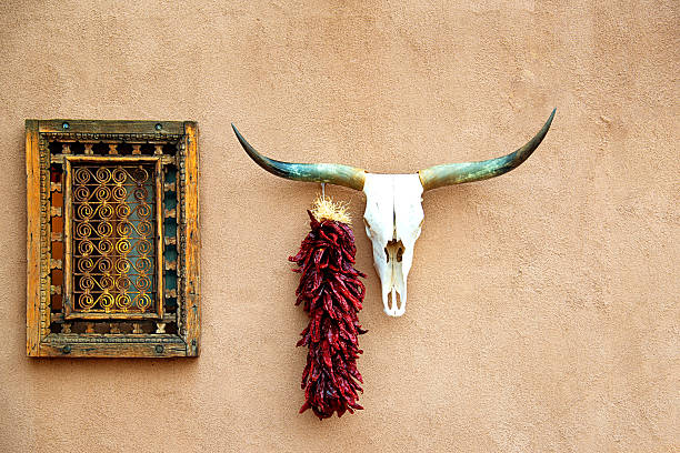 Old Adobe House, Animal Skull and Hanging Chili Peppers  Ristra Old Adobe House with Stucco Wall and Flowers santa fe new mexico stock pictures, royalty-free photos & images