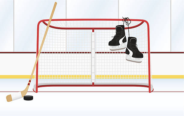 хоккей-арена - ice hockey hockey stick field hockey roller hockey stock illustrations