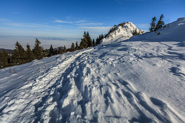 istock Postavaru Mountains in winter, Romania 513394281