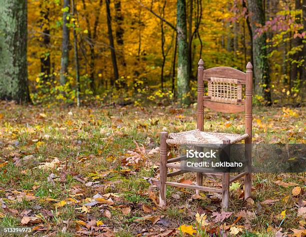 Einem Stuhl Im Freien Im Herbst Stockfoto und mehr Bilder von Baum - Baum, Braun, Farbbild