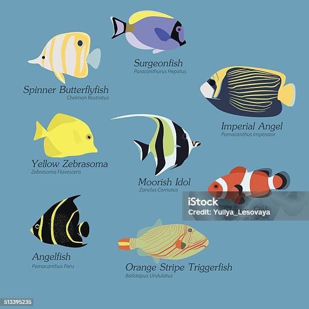 Fish Shape Extem Flat Design Exotic Fish Set Stock Illustration - Download Image Now ...