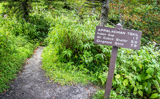 Appalachian Trail sign marking the distance to Clingmans Dome. At over 6,000 ft. Clingmans Dome is the highest point on the AT. Great Smoky Mountains National Park. Tennessee.