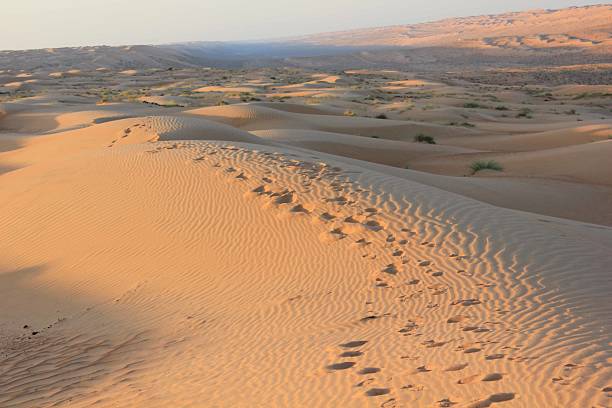 istock Footprint in the desert 513397285