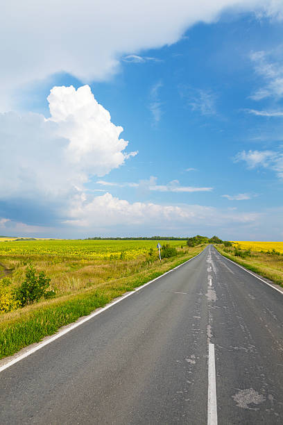 istock Road through the yellow sunflower field 513398463