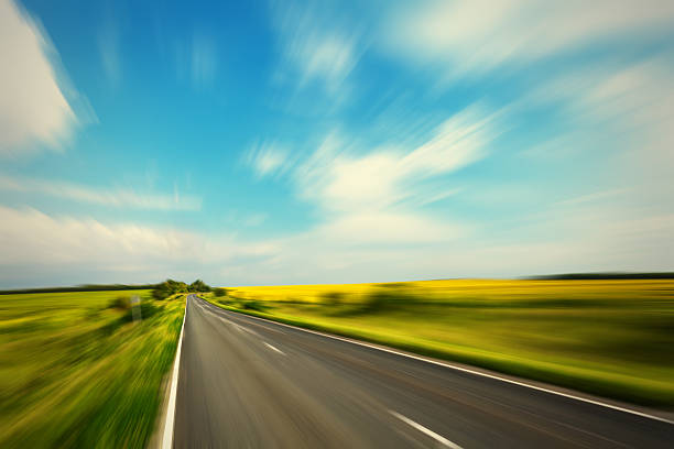 Road through the yellow sunflower field in sunny day