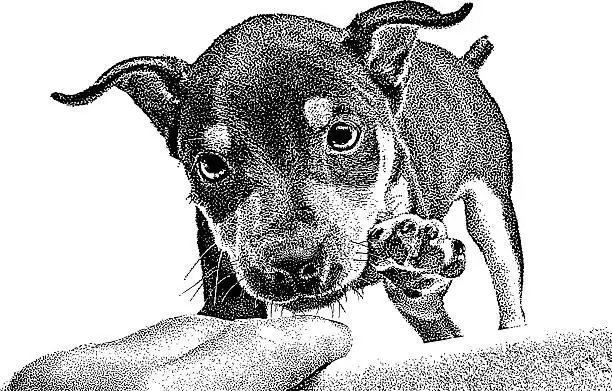 Vector illustration of Playful Puppy playing with man's hand.