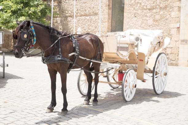 istock Carriage with the horse 513416871