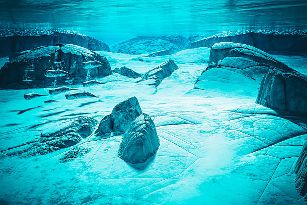 Conceptual unde the water image of a whale pod.