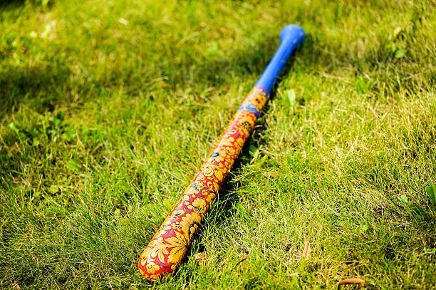 istock old wooden bat on the green grass 513419100