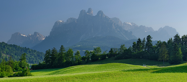 The meadows at Navoi. In the background the Pale di San Martino shrouded in the early morning mist.