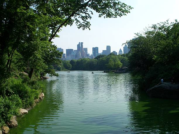 istock Summer day in the park. 513421141