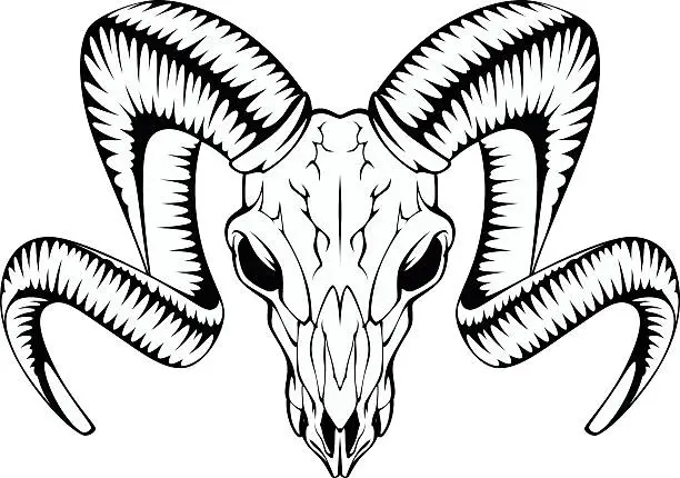 Vector illustration of Ram skull