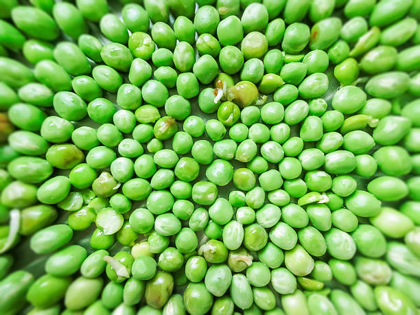Green Peas and pea fruit the legume on white.
